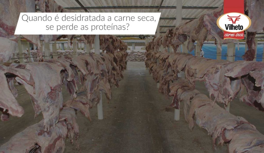 Quando é desidratada a carne seca, se perde as proteínas?