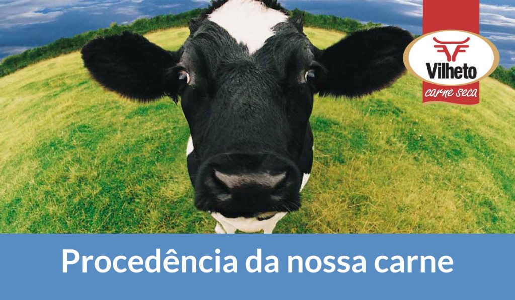 Procedência da nossa carne